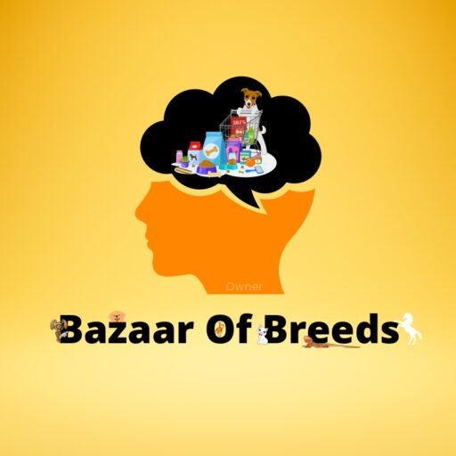 BazaarofBreeds